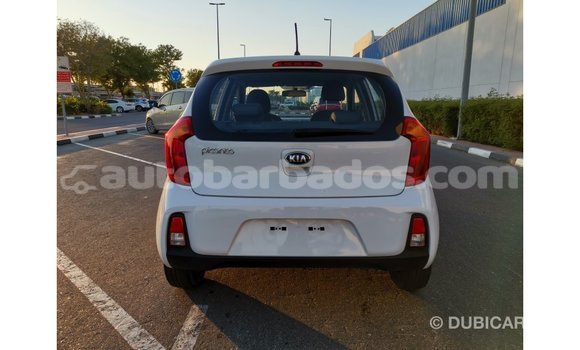 Buy Import Kia Picanto White Car in Import - Dubai in Barbados Buy Import Kia Picanto White Car in Import - Dubai in Barbados