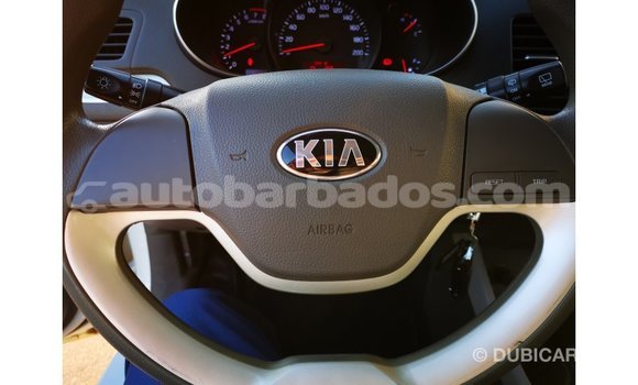 Buy Import Kia Picanto White Car in Import - Dubai in Barbados Buy Import Kia Picanto White Car in Import - Dubai in Barbados