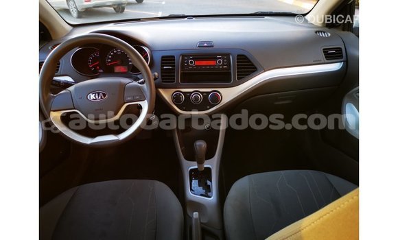 Buy Import Kia Picanto White Car in Import - Dubai in Barbados Buy Import Kia Picanto White Car in Import - Dubai in Barbados