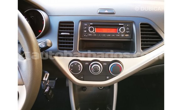 Buy Import Kia Picanto White Car in Import - Dubai in Barbados Buy Import Kia Picanto White Car in Import - Dubai in Barbados