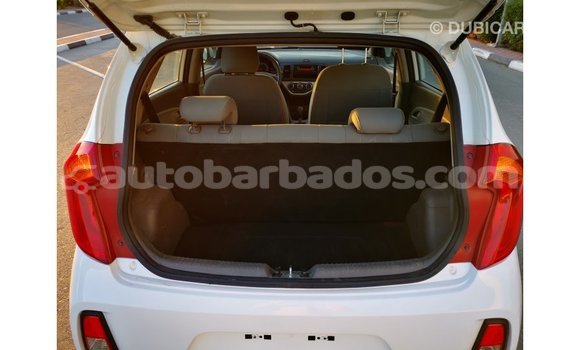 Buy Import Kia Picanto White Car in Import - Dubai in Barbados Buy Import Kia Picanto White Car in Import - Dubai in Barbados