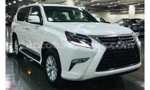 Buy Import Lexus GX White Car in Import - Dubai in Barbados Buy Import Lexus GX White Car in Import - Dubai in Barbados