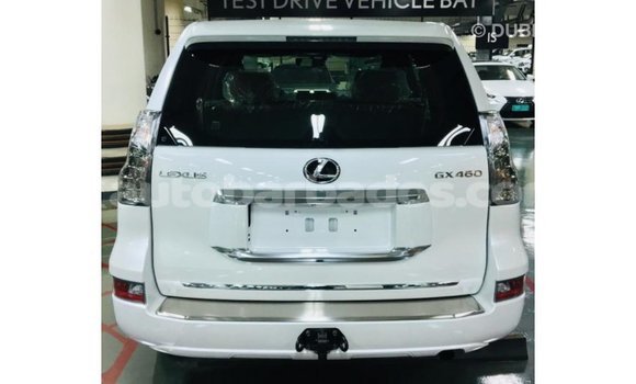 Buy Import Lexus GX White Car in Import - Dubai in Barbados Buy Import Lexus GX White Car in Import - Dubai in Barbados
