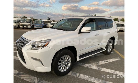 Buy Import Lexus GX White Car in Import - Dubai in Barbados Buy Import Lexus GX White Car in Import - Dubai in Barbados