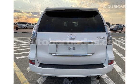 Buy Import Lexus GX White Car in Import - Dubai in Barbados Buy Import Lexus GX White Car in Import - Dubai in Barbados