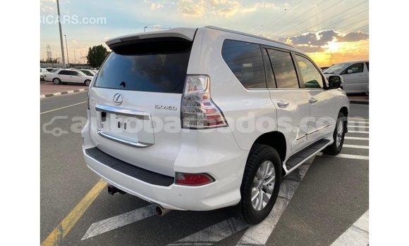 Buy Import Lexus GX White Car in Import - Dubai in Barbados Buy Import Lexus GX White Car in Import - Dubai in Barbados