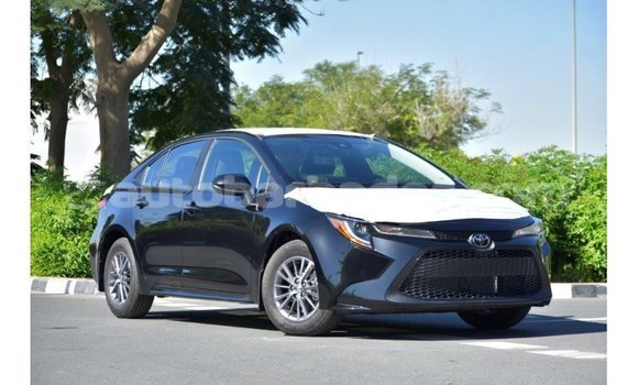 Buy Import Toyota Corolla Black Car in Import - Dubai in Barbados Buy Import Toyota Corolla Black Car in Import - Dubai in Barbados