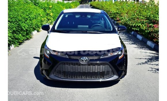 Buy Import Toyota Corolla Black Car in Import - Dubai in Barbados Buy Import Toyota Corolla Black Car in Import - Dubai in Barbados