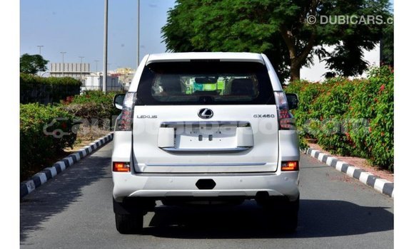 Buy Import Lexus GX White Car in Import - Dubai in Barbados Buy Import Lexus GX White Car in Import - Dubai in Barbados