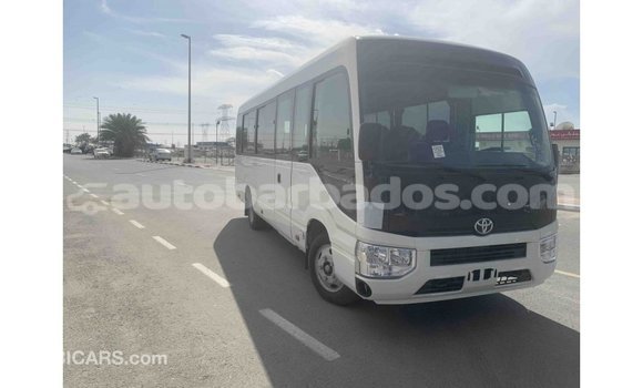 Buy Import Toyota Coaster White Car in Import - Dubai in Barbados Buy Import Toyota Coaster White Car in Import - Dubai in Barbados