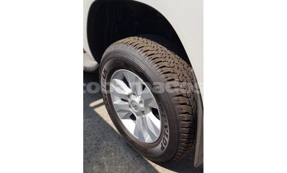 Buy Import Toyota Hilux Blue Car in Import - Dubai in Barbados Buy Import Toyota Hilux Blue Car in Import - Dubai in Barbados