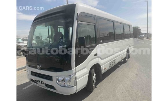 Buy Import Toyota Coaster White Car in Import - Dubai in Barbados Buy Import Toyota Coaster White Car in Import - Dubai in Barbados