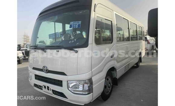 Buy Import Toyota Coaster White Car in Import - Dubai in Barbados Buy Import Toyota Coaster White Car in Import - Dubai in Barbados