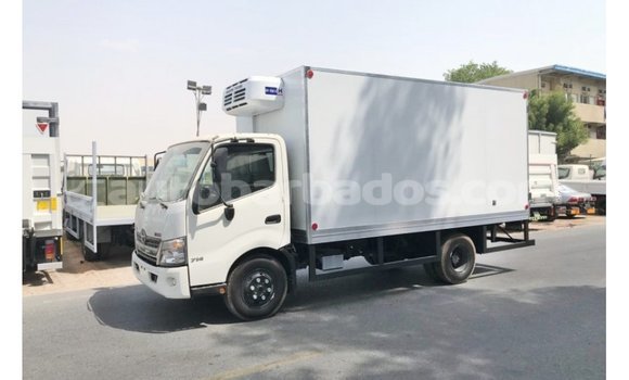 Buy Import Hino 300 Series White Truck in Import - Dubai in Barbados