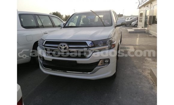 Buy Import Toyota Land Cruiser White Car in Import - Dubai in Barbados Buy Import Toyota Land Cruiser White Car in Import - Dubai in Barbados