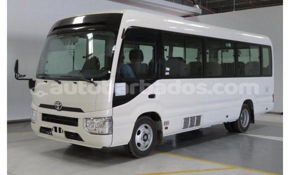 Buy Import Toyota Coaster White Car in Import - Dubai in Barbados Buy Import Toyota Coaster White Car in Import - Dubai in Barbados