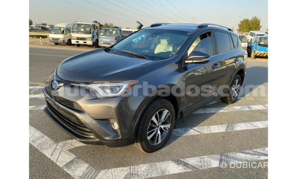 Buy Import Toyota HiAce Other Truck in Import - Dubai in Barbados Buy Import Toyota HiAce Other Truck in Import - Dubai in Barbados