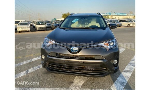 Buy Import Toyota HiAce Other Truck in Import - Dubai in Barbados Buy Import Toyota HiAce Other Truck in Import - Dubai in Barbados