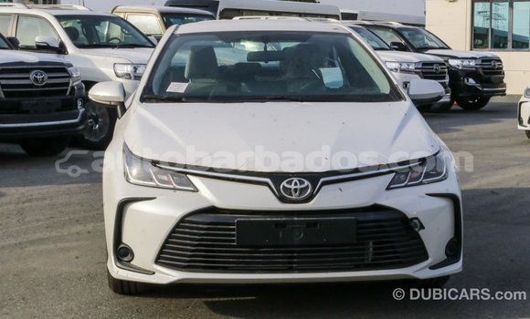 Buy Import Toyota Corolla White Car in Import - Dubai in Barbados Buy Import Toyota Corolla White Car in Import - Dubai in Barbados