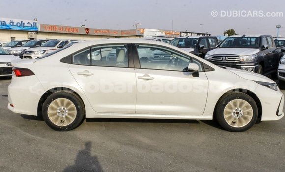 Buy Import Toyota Corolla White Car in Import - Dubai in Barbados Buy Import Toyota Corolla White Car in Import - Dubai in Barbados