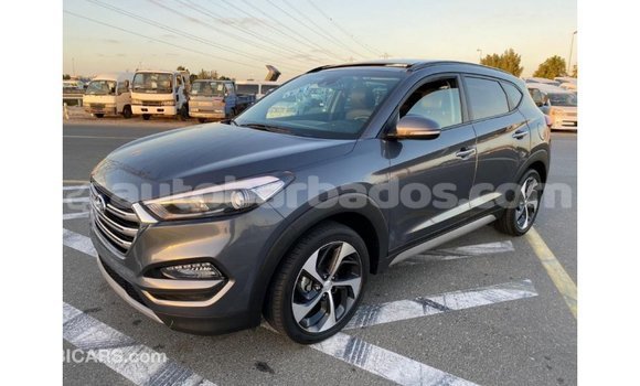 Buy Import Hyundai Tucson Other Car in Import - Dubai in Barbados Buy Import Hyundai Tucson Other Car in Import - Dubai in Barbados
