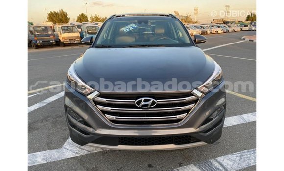 Buy Import Hyundai Tucson Other Car in Import - Dubai in Barbados Buy Import Hyundai Tucson Other Car in Import - Dubai in Barbados