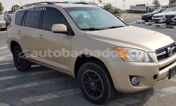Buy Import Toyota RAV4 Other Car in Import - Dubai in Barbados Buy Import Toyota RAV4 Other Car in Import - Dubai in Barbados