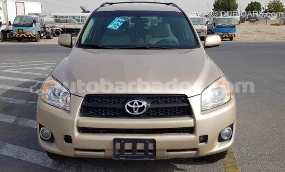 Buy Import Toyota RAV4 Other Car in Import - Dubai in Barbados Buy Import Toyota RAV4 Other Car in Import - Dubai in Barbados