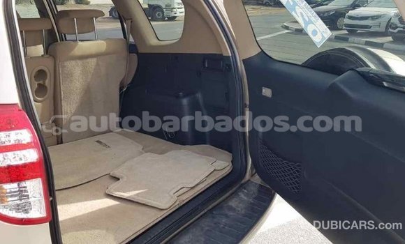 Buy Import Toyota RAV4 Other Car in Import - Dubai in Barbados Buy Import Toyota RAV4 Other Car in Import - Dubai in Barbados