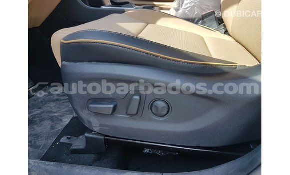 Buy Import Kia Sportage White Car in Import - Dubai in Barbados Buy Import Kia Sportage White Car in Import - Dubai in Barbados