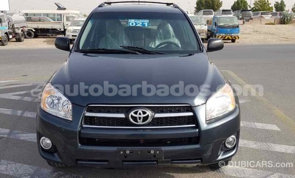 Buy Import Toyota RAV4 Green Car in Import - Dubai in Barbados Buy Import Toyota RAV4 Green Car in Import - Dubai in Barbados
