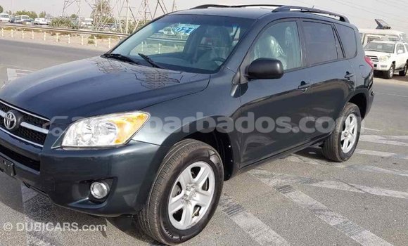 Buy Import Toyota RAV4 Green Car in Import - Dubai in Barbados Buy Import Toyota RAV4 Green Car in Import - Dubai in Barbados