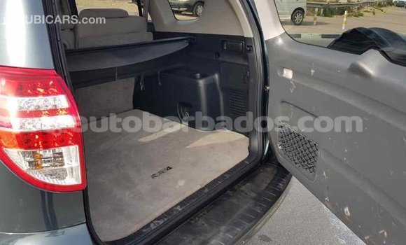 Buy Import Toyota RAV4 Green Car in Import - Dubai in Barbados Buy Import Toyota RAV4 Green Car in Import - Dubai in Barbados