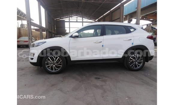 Buy Import Hyundai Tucson White Car in Import - Dubai in Barbados Buy Import Hyundai Tucson White Car in Import - Dubai in Barbados