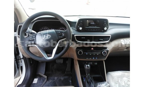 Buy Import Hyundai Tucson White Car in Import - Dubai in Barbados Buy Import Hyundai Tucson White Car in Import - Dubai in Barbados