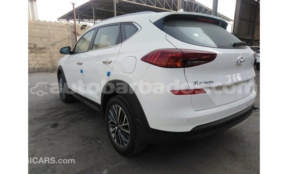 Buy Import Hyundai Tucson White Car in Import - Dubai in Barbados Buy Import Hyundai Tucson White Car in Import - Dubai in Barbados