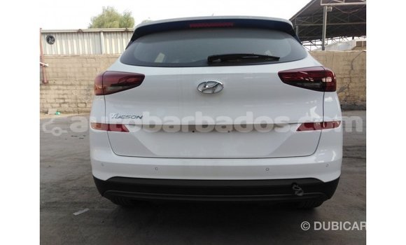 Buy Import Hyundai Tucson White Car in Import - Dubai in Barbados Buy Import Hyundai Tucson White Car in Import - Dubai in Barbados