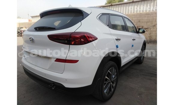 Buy Import Hyundai Tucson White Car in Import - Dubai in Barbados Buy Import Hyundai Tucson White Car in Import - Dubai in Barbados