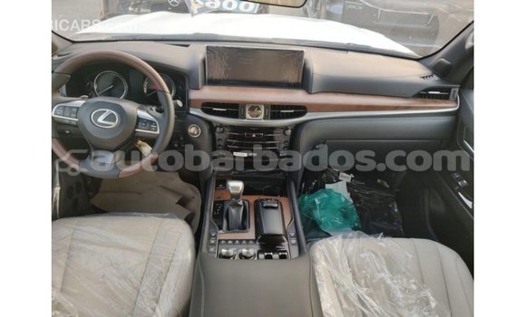 Buy Import Lexus LX Blue Car in Import - Dubai in Barbados Buy Import Lexus LX Blue Car in Import - Dubai in Barbados