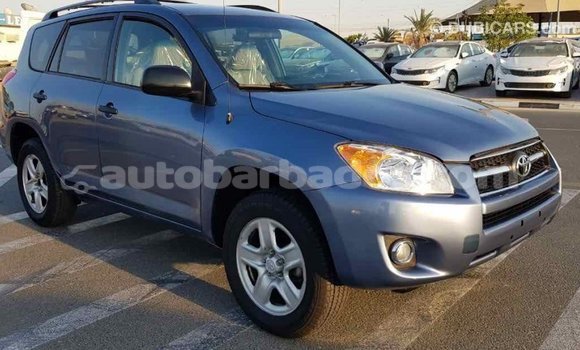 Buy Import Toyota RAV4 Blue Car in Import - Dubai in Barbados Buy Import Toyota RAV4 Blue Car in Import - Dubai in Barbados