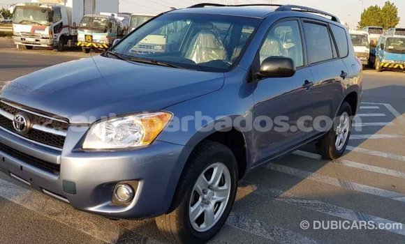 Buy Import Toyota RAV4 Blue Car in Import - Dubai in Barbados Buy Import Toyota RAV4 Blue Car in Import - Dubai in Barbados