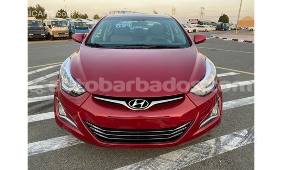 Buy Import Hyundai Elantra Red Car in Import - Dubai in Barbados Buy Import Hyundai Elantra Red Car in Import - Dubai in Barbados