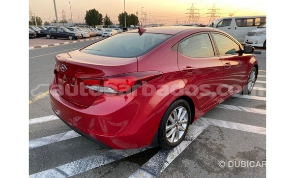 Buy Import Hyundai Elantra Red Car in Import - Dubai in Barbados Buy Import Hyundai Elantra Red Car in Import - Dubai in Barbados
