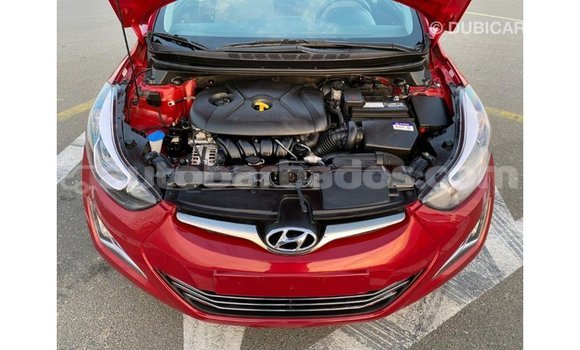 Buy Import Hyundai Elantra Red Car in Import - Dubai in Barbados Buy Import Hyundai Elantra Red Car in Import - Dubai in Barbados