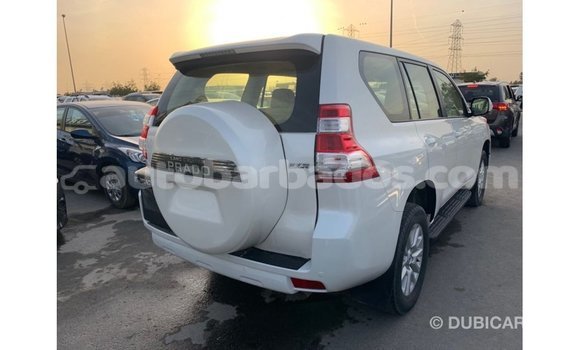 Buy Import Toyota Prado White Car in Import - Dubai in Barbados Buy Import Toyota Prado White Car in Import - Dubai in Barbados
