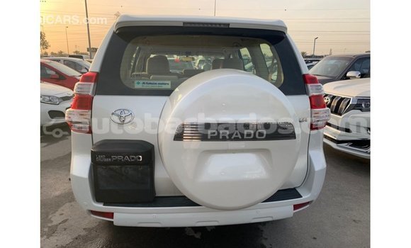 Buy Import Toyota Prado White Car in Import - Dubai in Barbados Buy Import Toyota Prado White Car in Import - Dubai in Barbados