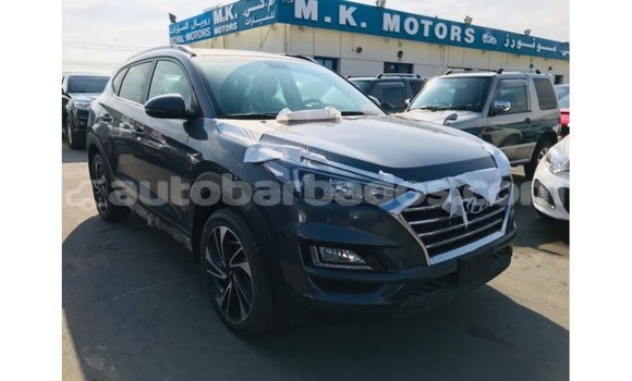 Buy Import Hyundai Tucson Other Car in Import - Dubai in Barbados Buy Import Hyundai Tucson Other Car in Import - Dubai in Barbados