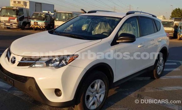 Buy Import Toyota RAV4 White Car in Import - Dubai in Barbados Buy Import Toyota RAV4 White Car in Import - Dubai in Barbados