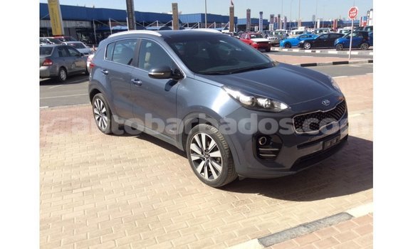 Buy Import Kia Sportage Blue Car in Import - Dubai in Barbados Buy Import Kia Sportage Blue Car in Import - Dubai in Barbados