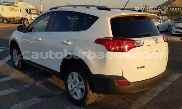 Buy Import Toyota RAV4 White Car in Import - Dubai in Barbados Buy Import Toyota RAV4 White Car in Import - Dubai in Barbados